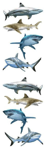 STRIP PE SHARK WORLD