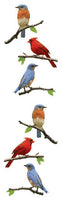 STRIP PE BIRDS