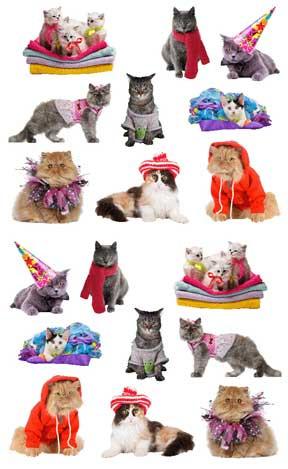 STRIPS GT PAMPERED CATS
