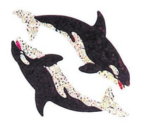 Mini Killer Whales