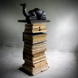 Sofa side metal standing bookcase