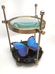 Magnifier with Butterfly